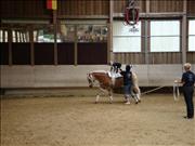 voltitag 2009 _CD2 116